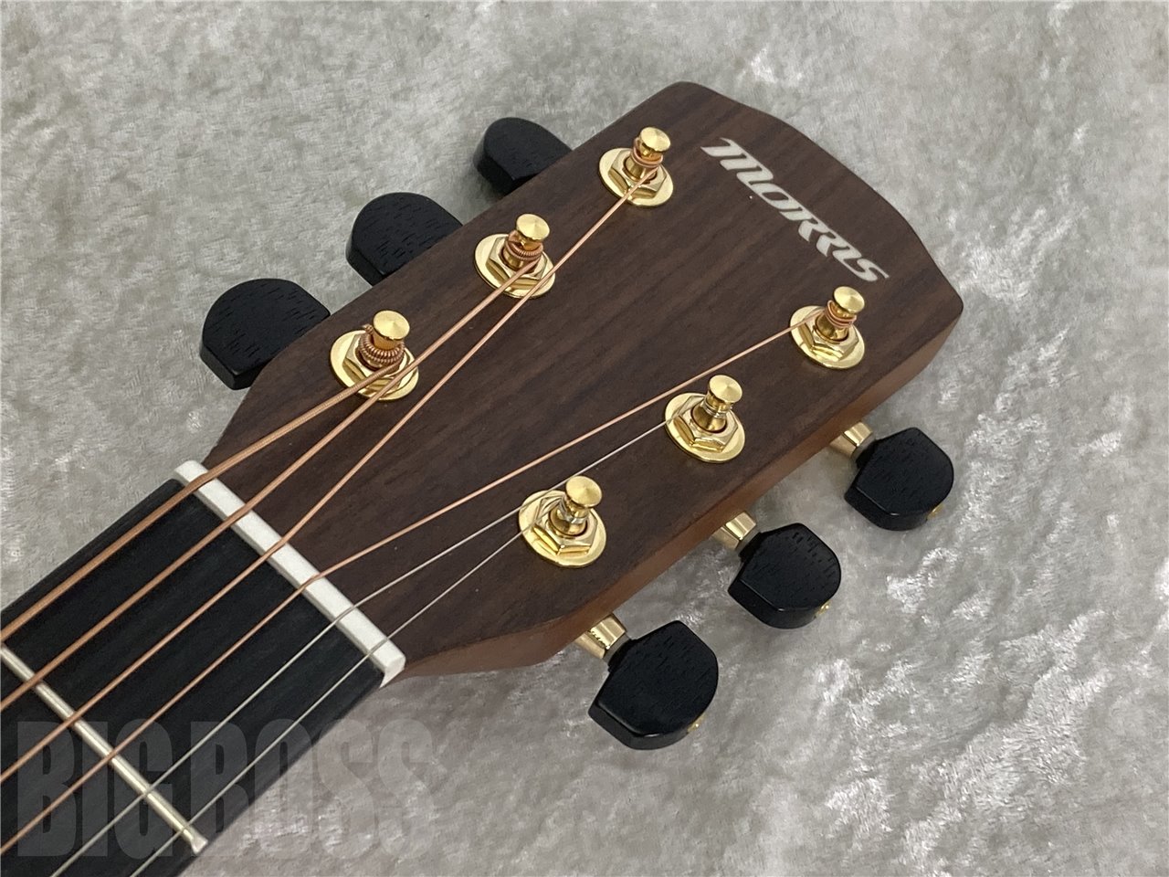 Morris S-011（新品/送料無料）【楽器検索デジマート】