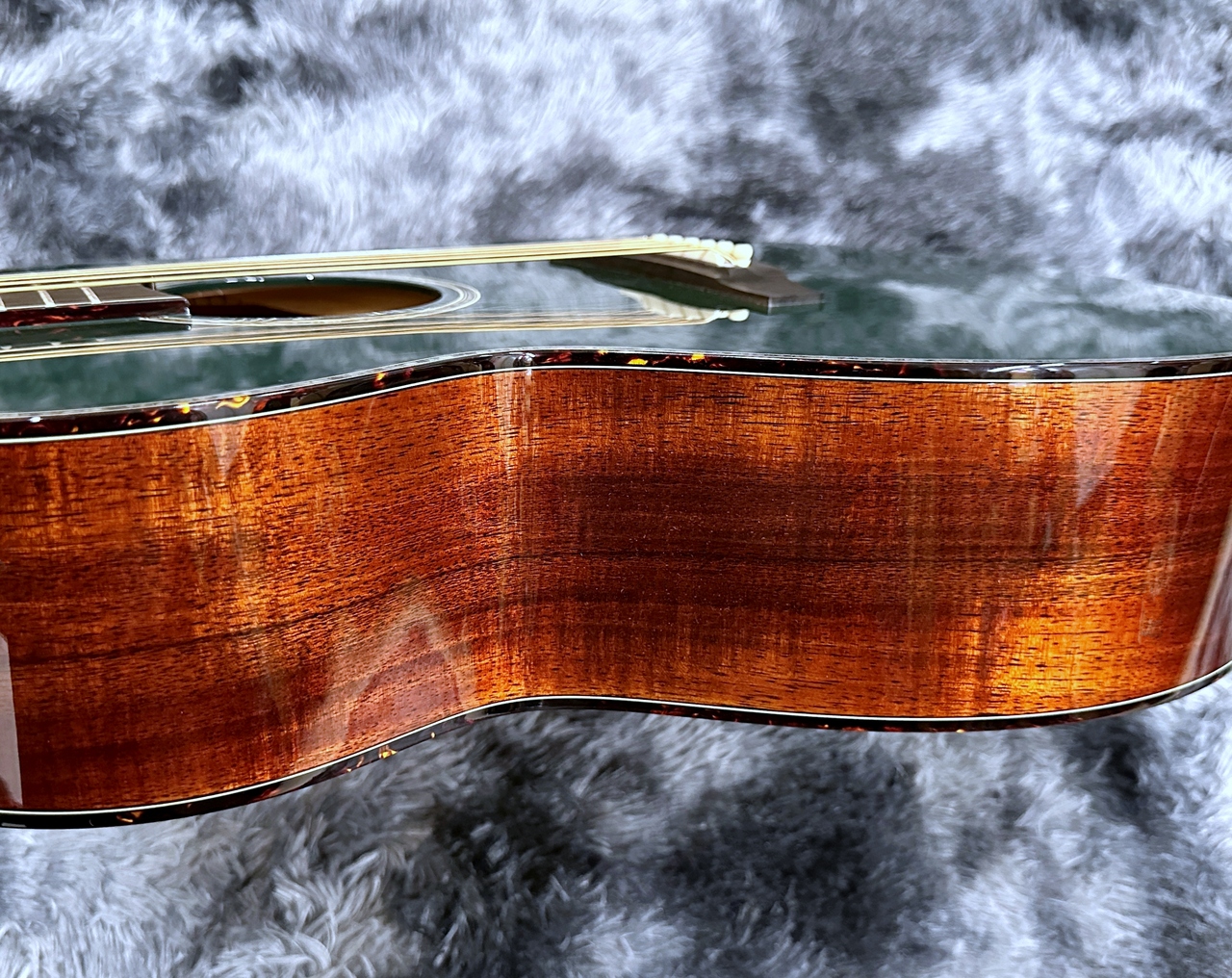 Takamine LTD2025 【展示入替特価】【限定モデル】【日本製