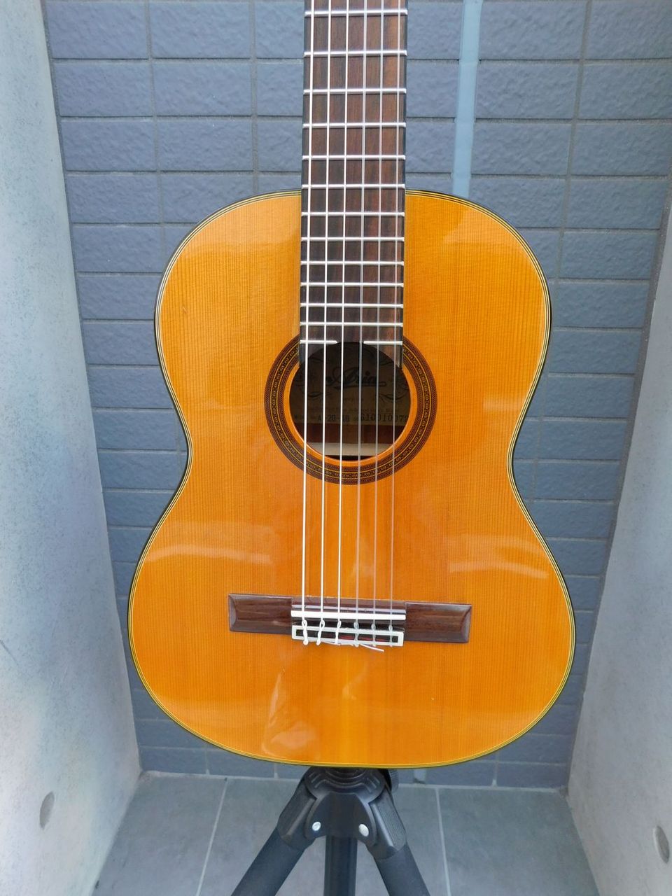 ARIA A-20-48 ミニガットギター（中古）【楽器検索デジマート】