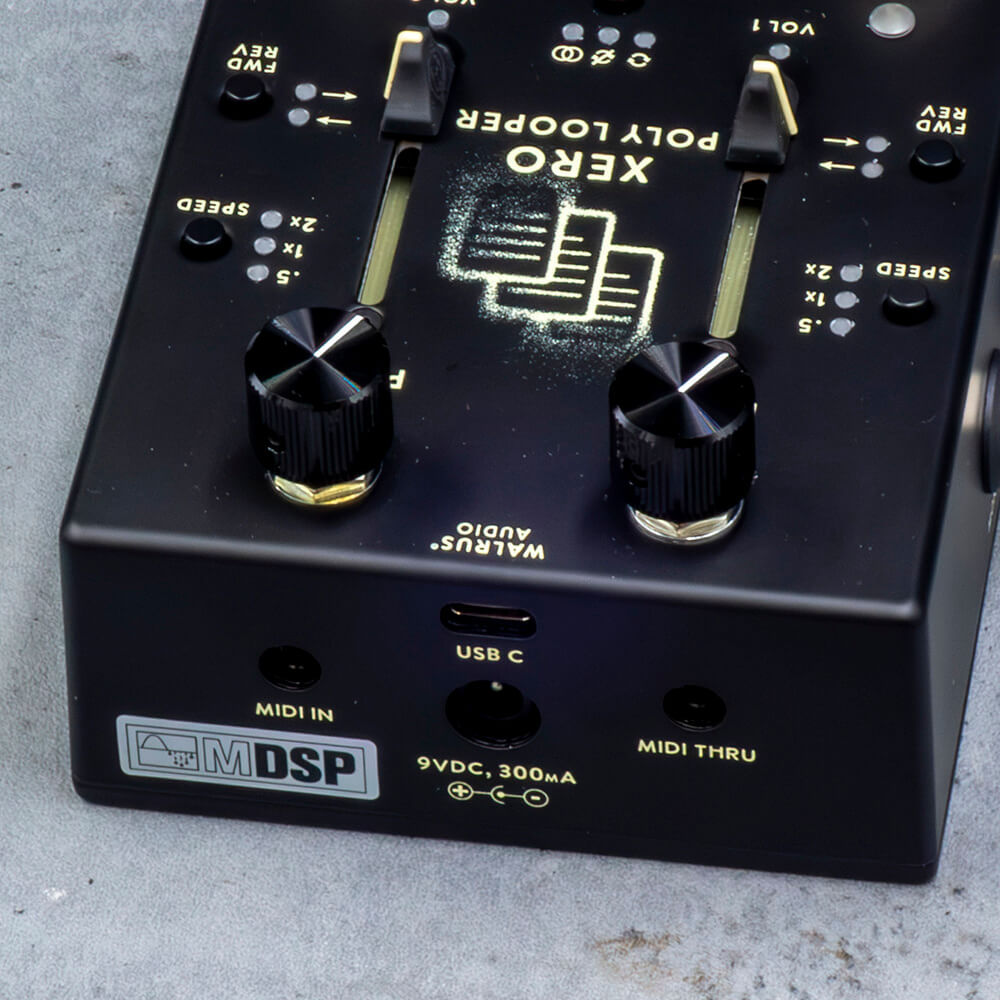 WALRUS AUDIO Xero Polylooper Black [WAL-XPL #B]（新品特価/送料無料