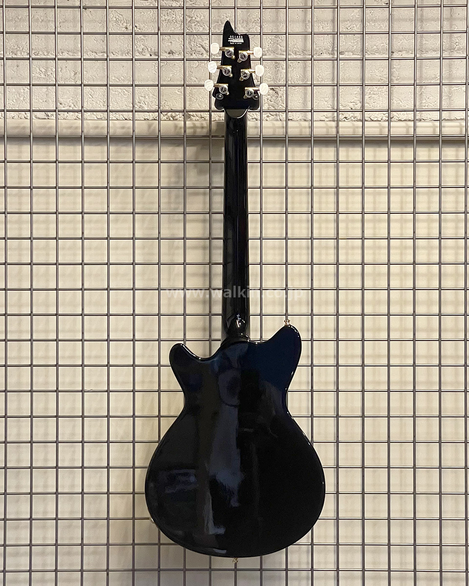 T's Guitar Arc Hollow-22 (Cusome Made)（中古）【楽器検索デジマート】