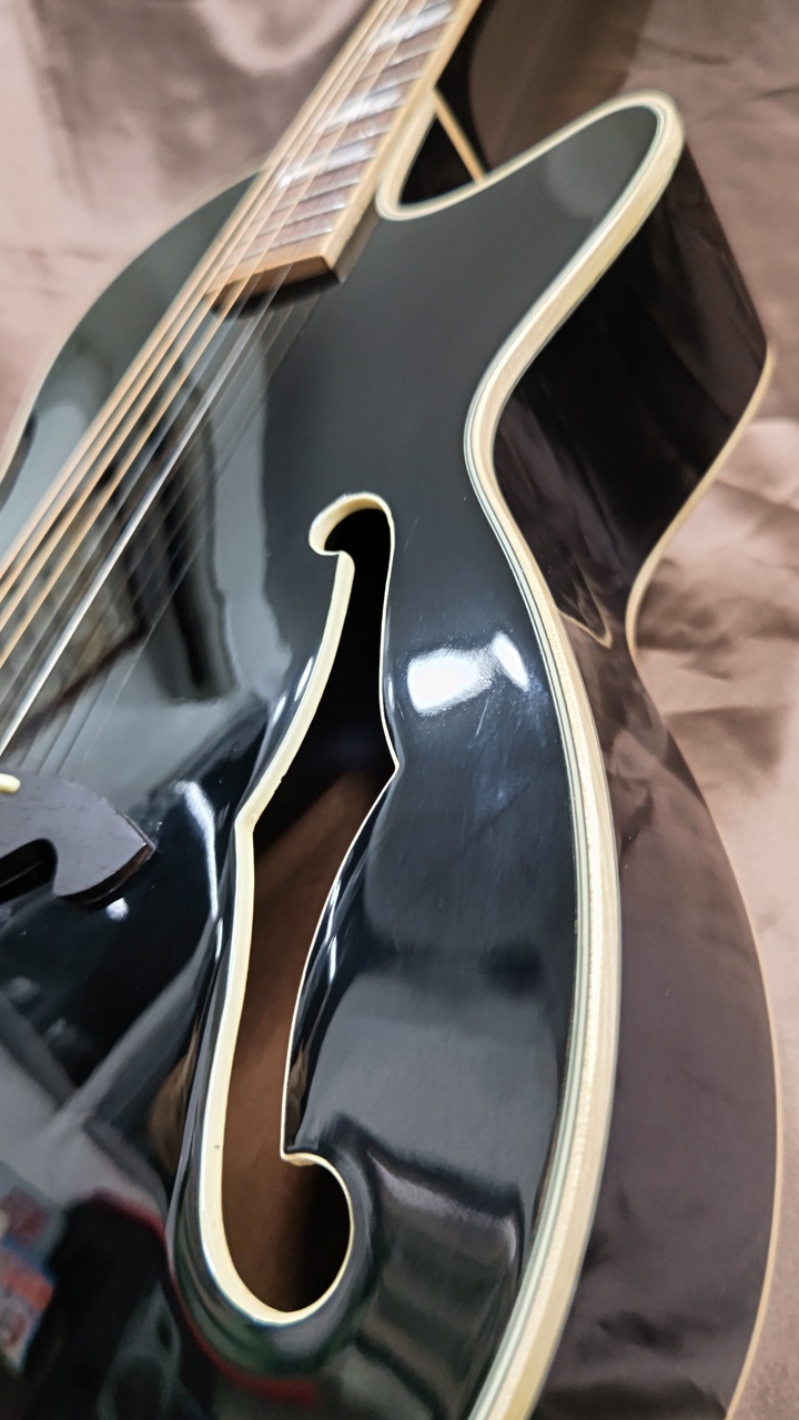 Zenn ZF33CE（中古）【楽器検索デジマート】