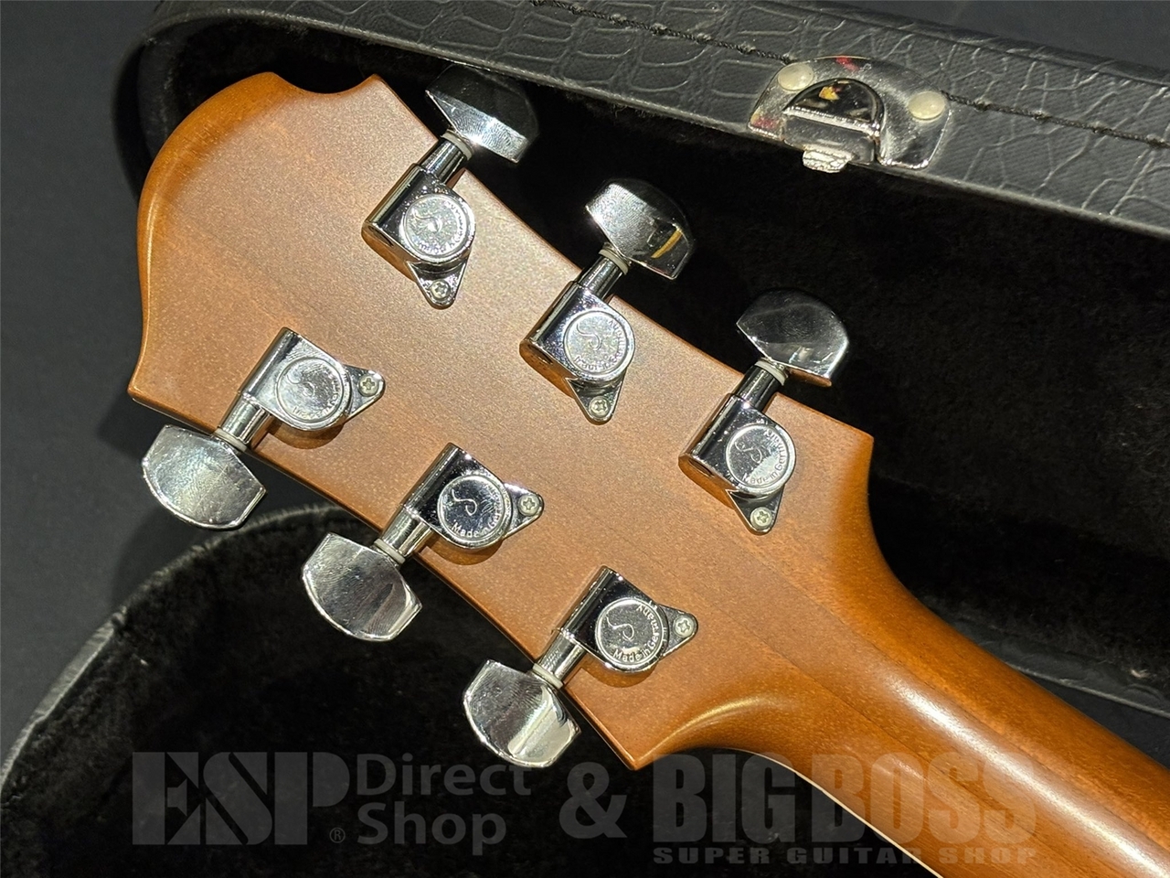 Zemaitis Tony's Collection S22 MT Leaf / Natural（中古/送料無料