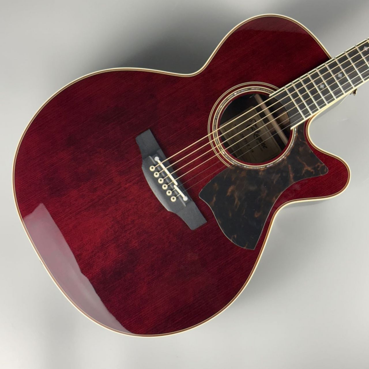 Takamine DMP50S エレアコ アコースティックギター ハードケース付
