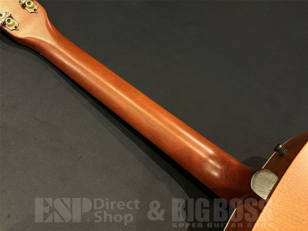 Art&Lutherie Legacy Q-Discrete / Havana Brown （新品/送料無料