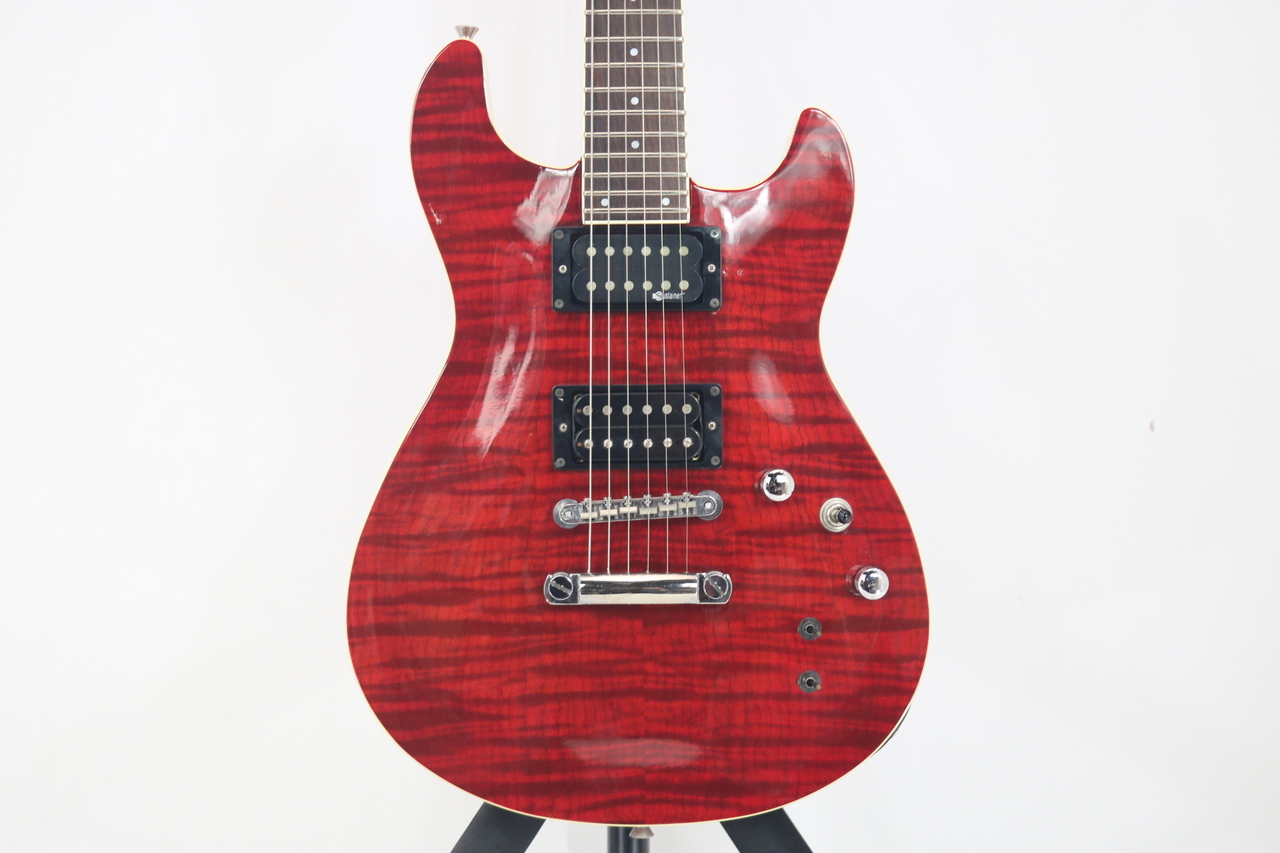 ギター FERNANDES APG-55S SBL FERNANDES APG-55S（中古）【楽器検索デジマート】