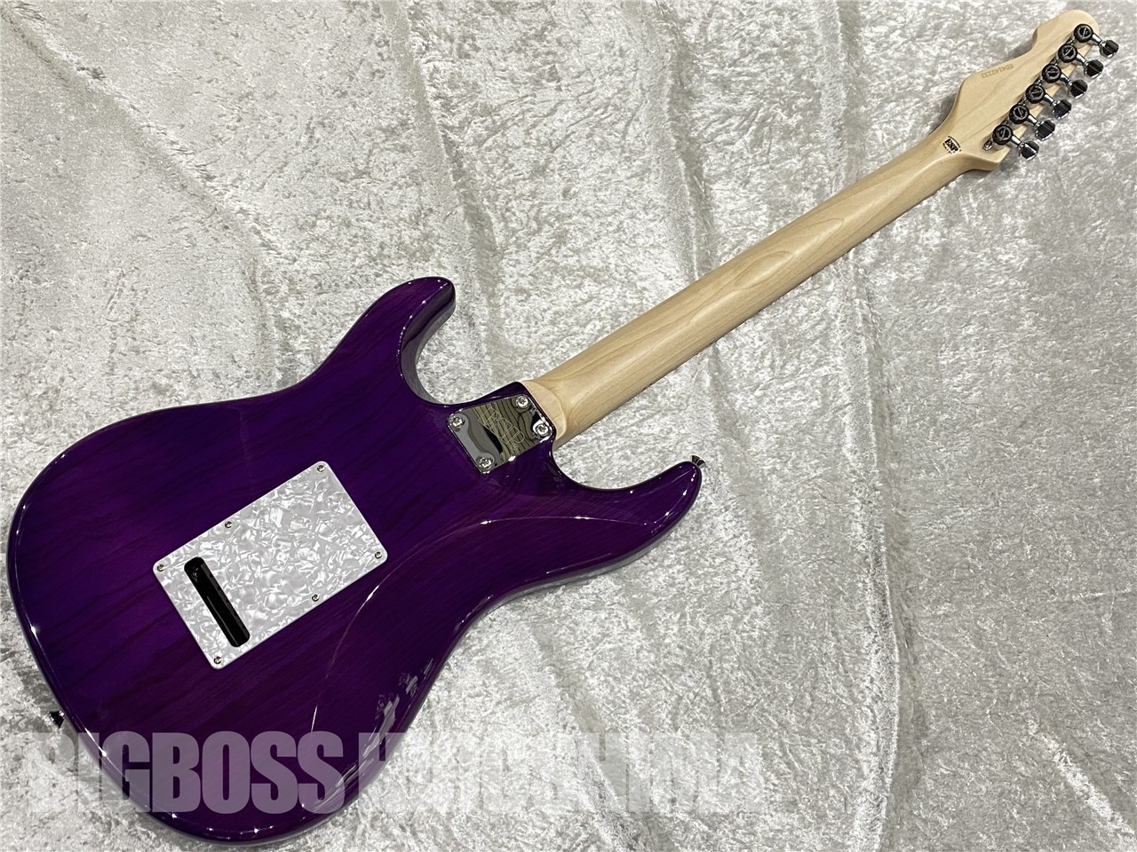 EDWARDS E-SNAPPER-AS/M (See Thru Purple)（新品/送料無料）【楽器