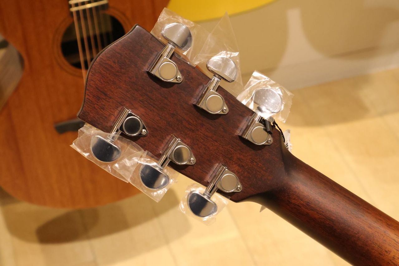 Eastman AC322CE エレアコ オール単板 L.R.Baggsピックアップ搭載