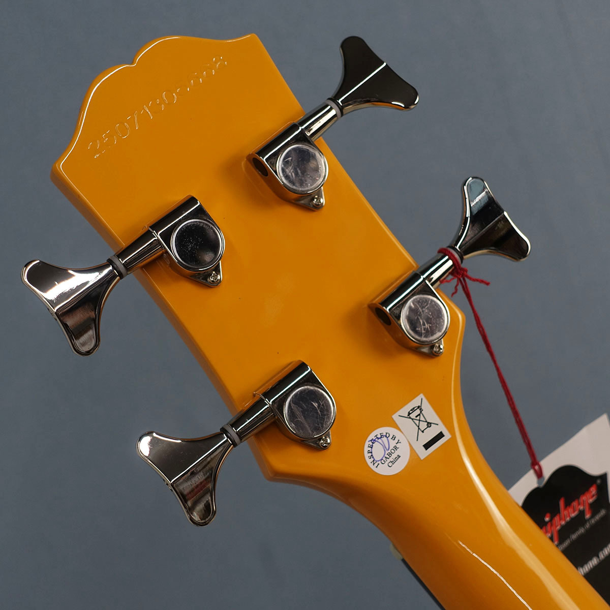Epiphone Newport Bass California Coral（新品）【楽器検索デジマート】