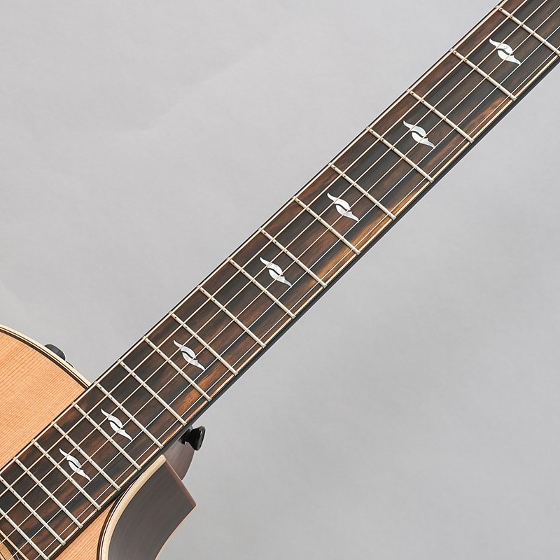 『美品』 Taylor 814ce v-class 最終値下げ TAYLOR 814ce V-Class テイラー ｜イケベ楽器店オンラインストア