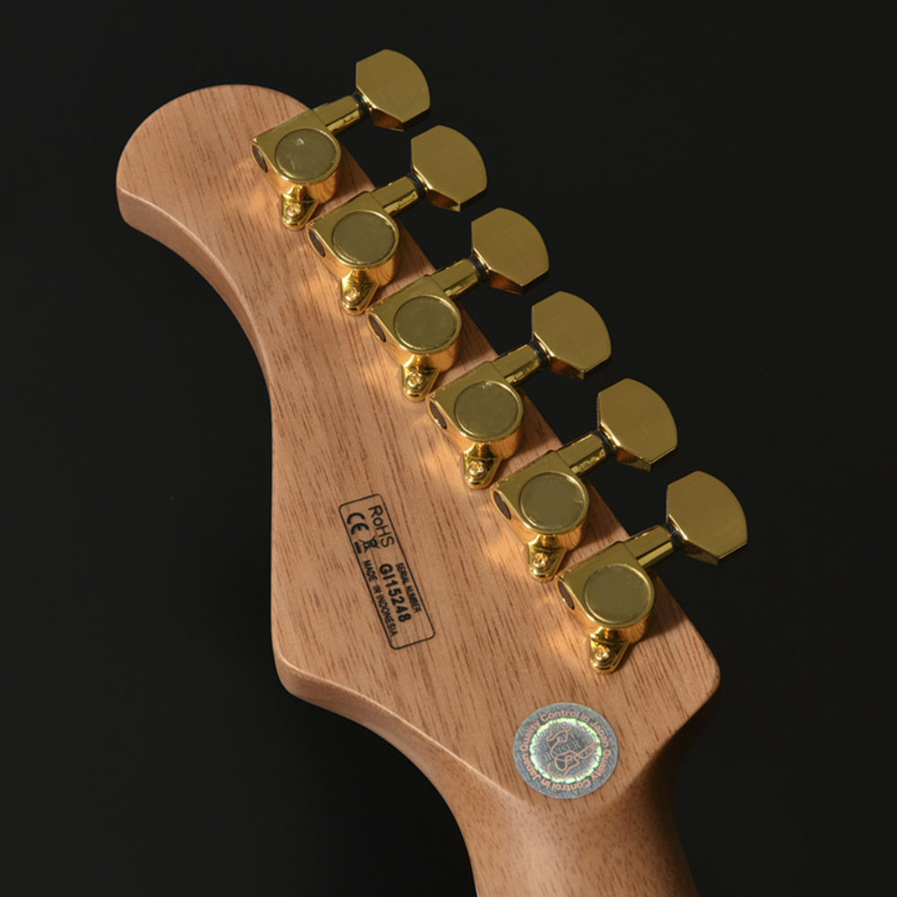 Bacchus バッカス Global Series GS-HOLLOW-CTM BLK エレキギター
