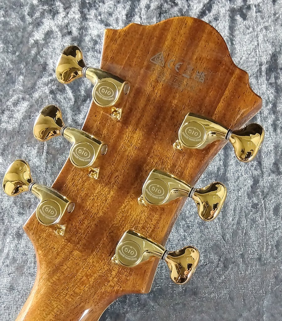 Ibenez PM2 PAT METHENY フルアコ パット・メセニー 楽天市場】Ibanez Signatures Series PM200-NT [Pat Metheny