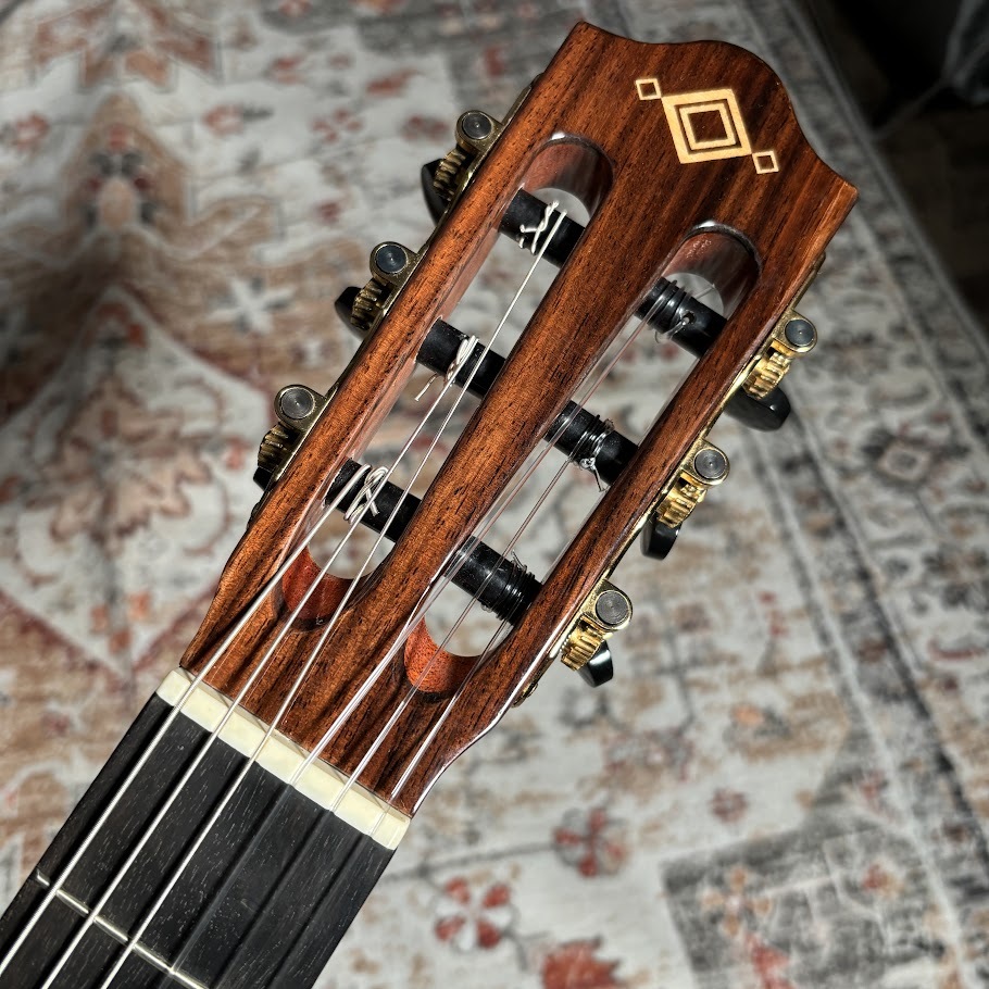 Martinez MP-12 Ziricote【現物画像】（中古/送料無料）【楽器検索