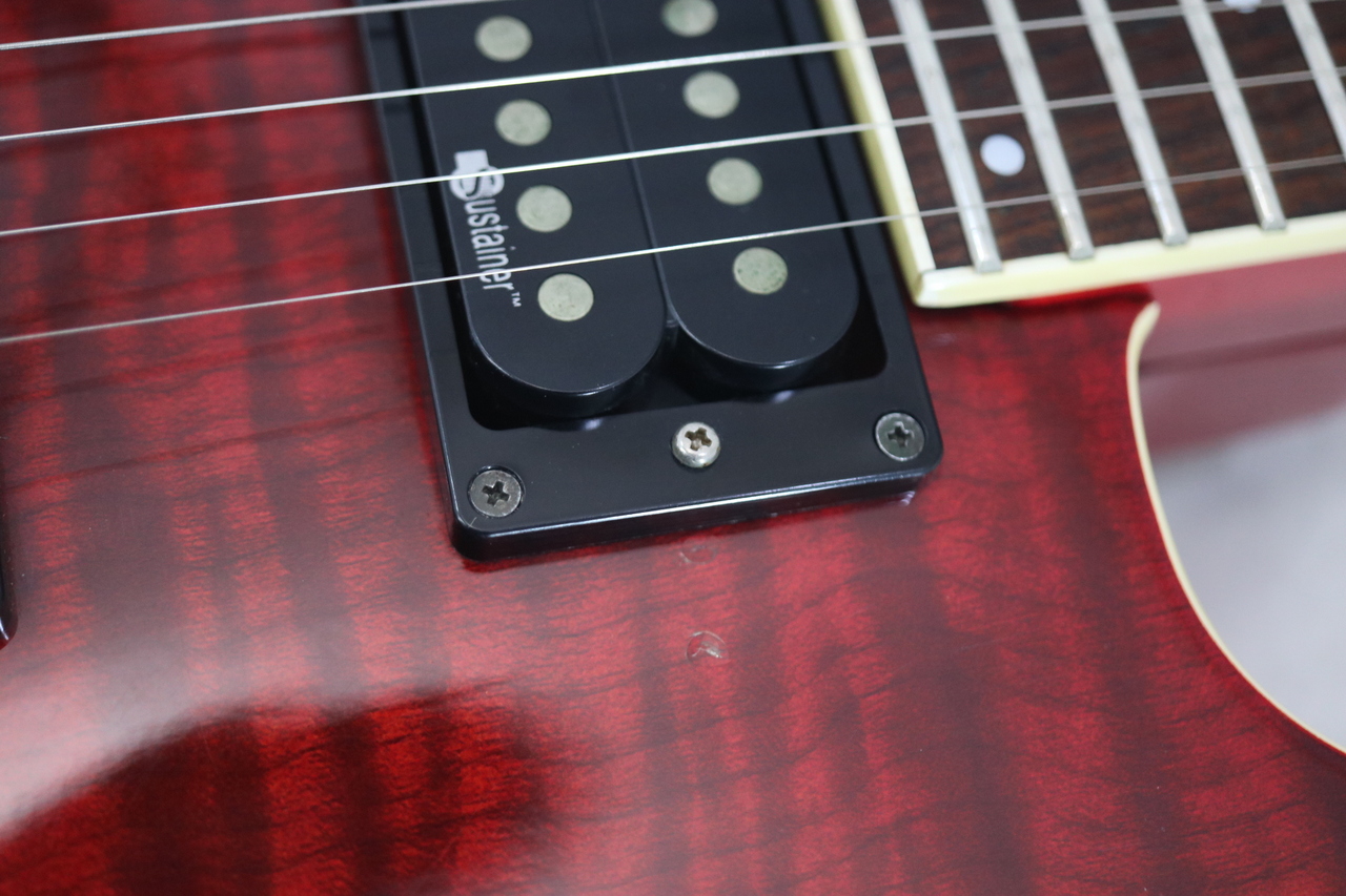 FERNANDES APG-55S（中古）【楽器検索デジマート】