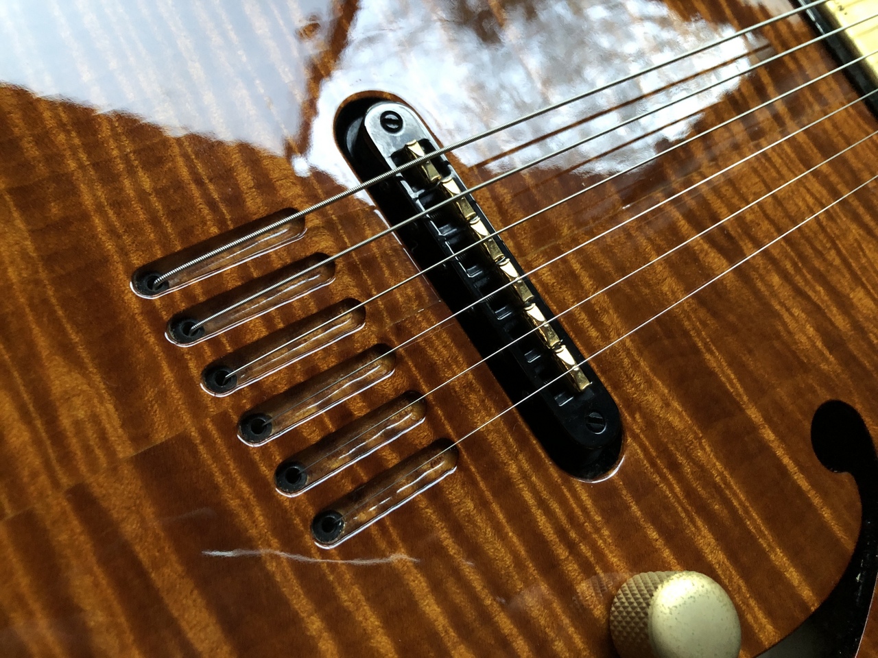 【希少】GODIN MULTIAC JAZZ SA セミアコースティックギター 希少】GODIN MULTIAC JAZZ SA セミアコースティックギター