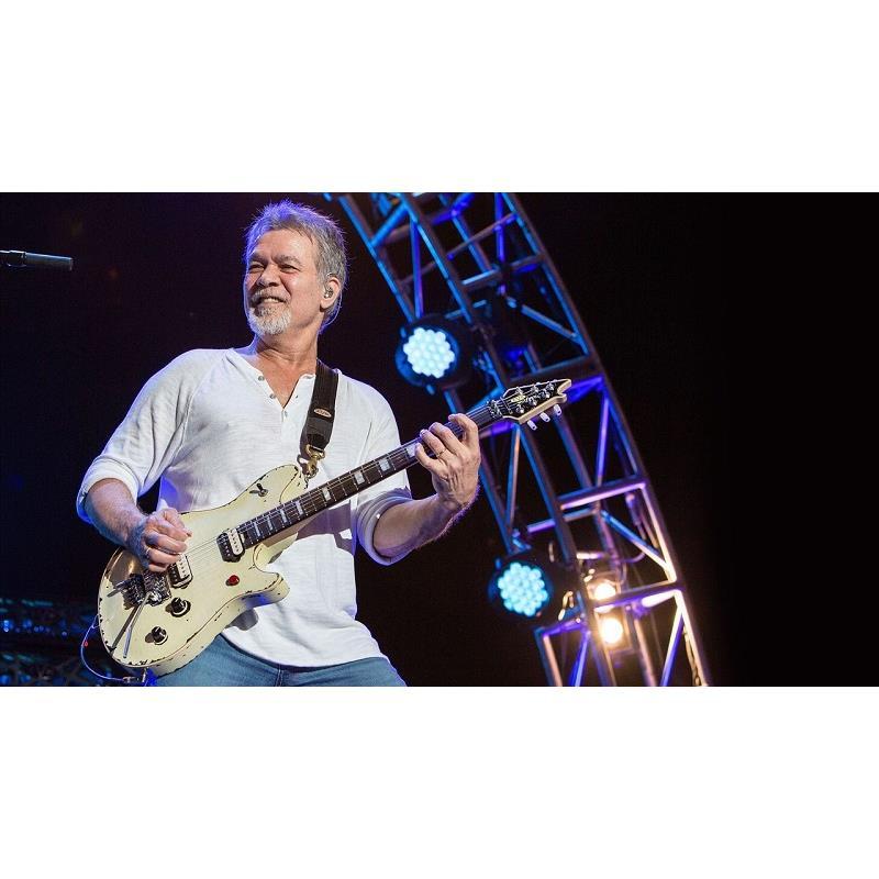 ノーブランド 　EVHシグネチャーコピーモデル　 ホワイト キルスイッチ付 ノーブランド EVHシグネチャーコピーモデル ホワイト キルスイッチ付