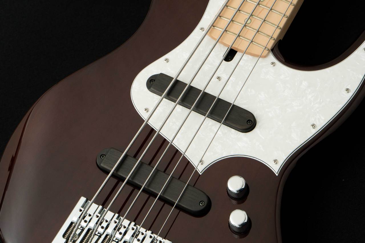 Xotic XJ-1T 5st -Walnut Blonde-（新品/送料無料）【楽器検索デジマート】