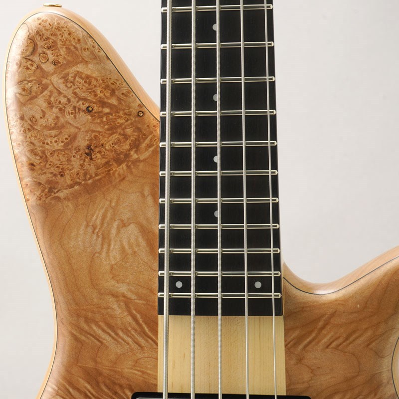 Tune Zi III-5 Headless Single-Cutaway Burl Maple（新品）【楽器検索 