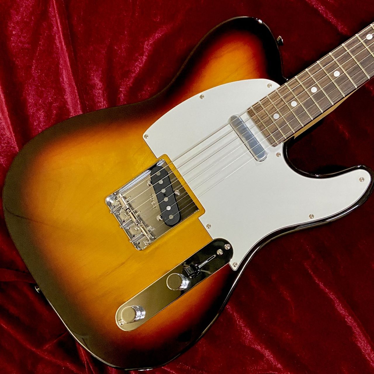 Tokai ATE-101（新品/送料無料）【楽器検索デジマート】