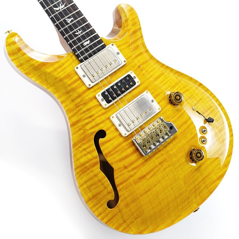 Paul Reed Smith(PRS) 2024 Special Semi-Hollow 10top (Santana