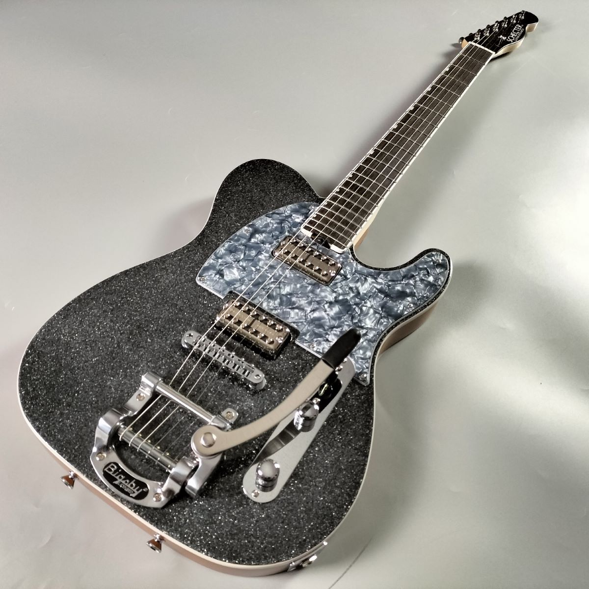 SCHECTER オーダー テレキャスター ペイズリー SCHECTER オーダー テレキャスター ペイズリー
