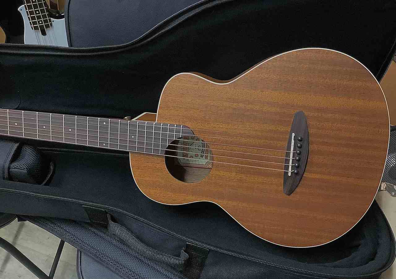 aNueNue aNN-M2 アヌエヌエ M2 ミニギター マイク搭載（新品特価