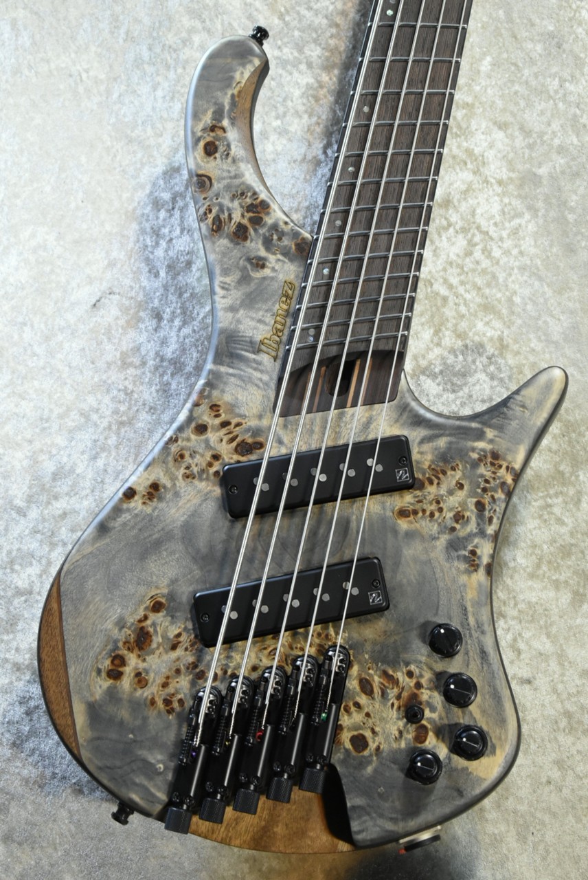 Ibanez EHB1505MS -BIF- #I 250905535【3.12kg】Black Ice Flat【5弦