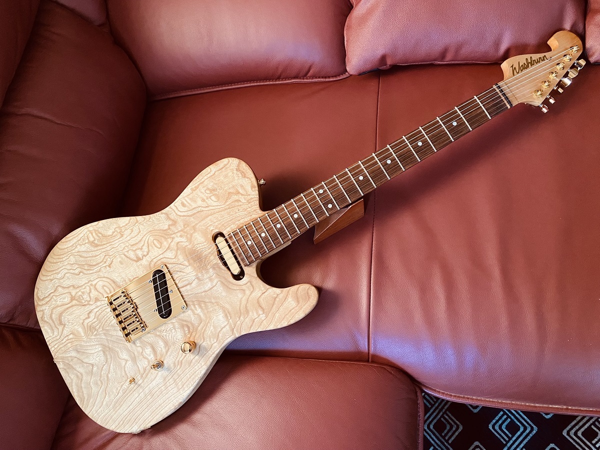 NO BRAND Washburn NELE モチーフ（中古）【楽器検索デジマート】