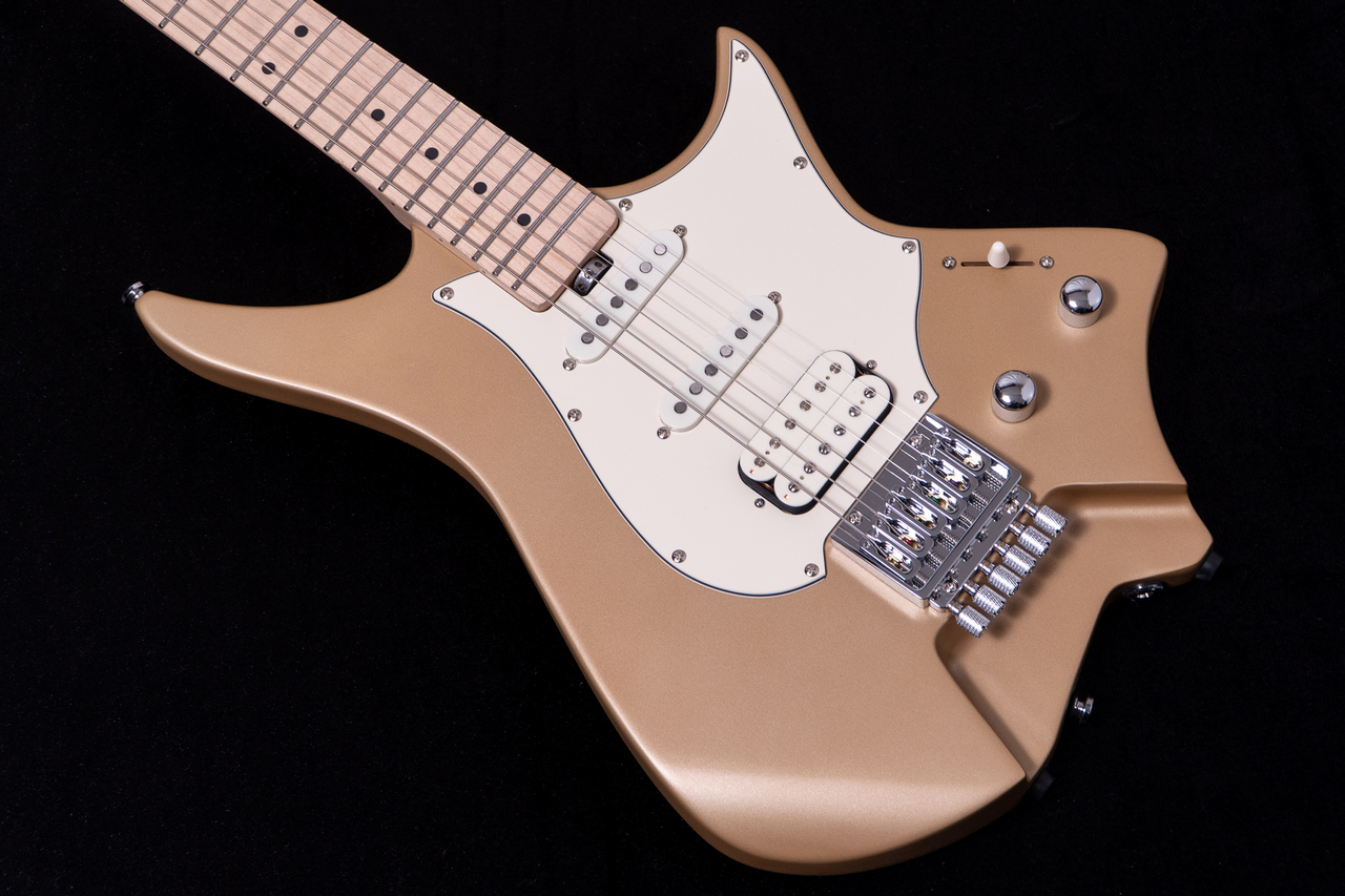 HEX Guitars NS100M S/SS（新品/送料無料）【楽器検索デジマート】