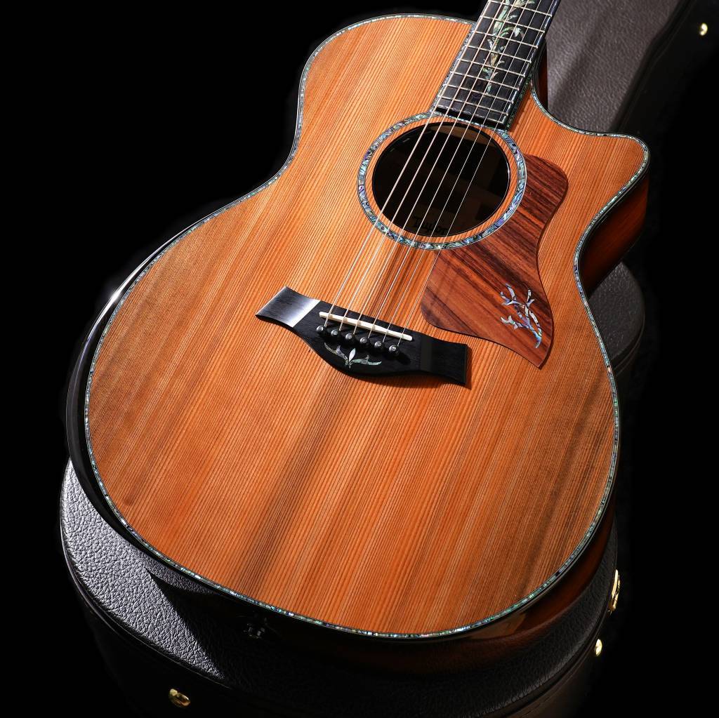Taylor PS14ce Next Generation 【御茶ノ水本店】（新品/送料無料