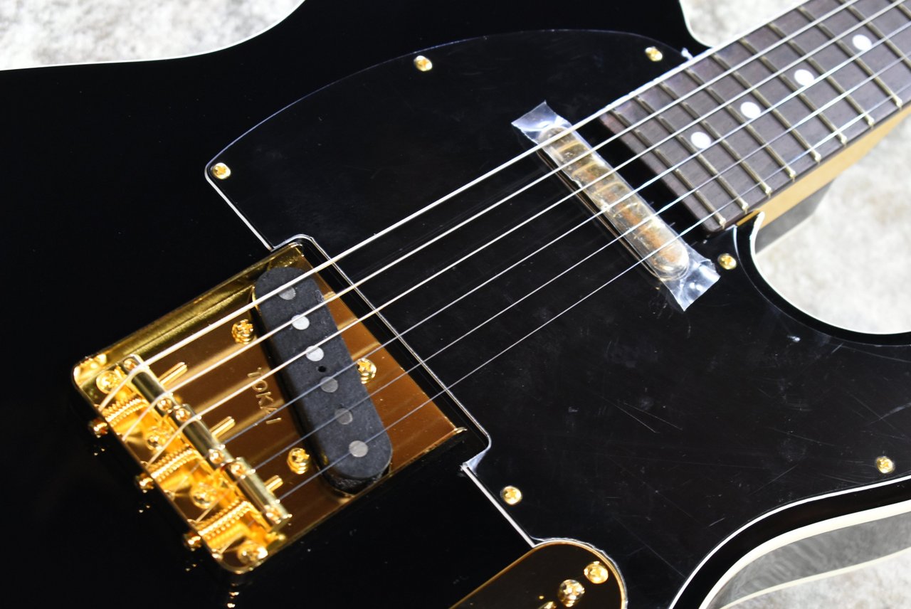 Tokai ATE-101B/G BBR #250631【待望の入荷、漆黒指板、3.69kg】（新品