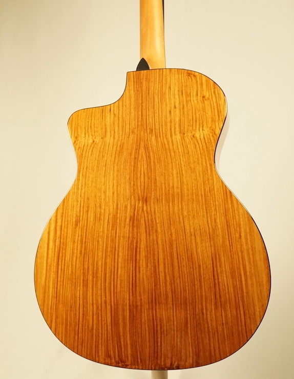 Taylor 214ce Plus #2201135394【エレアコ】【ローズウッド