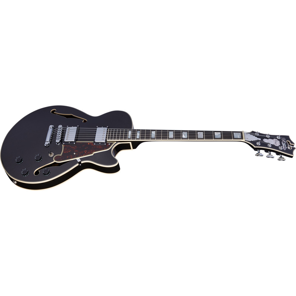 D'Angelico Premier SS Black Flake セミアコースティックギター（新品
