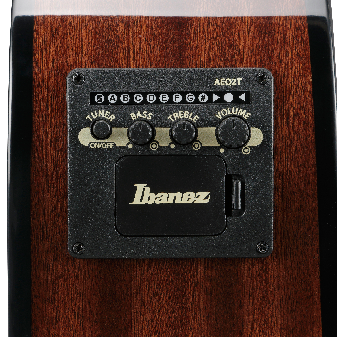Ibanez AEGB25E-TKH《アコースティック・ベース》【オンラインストア