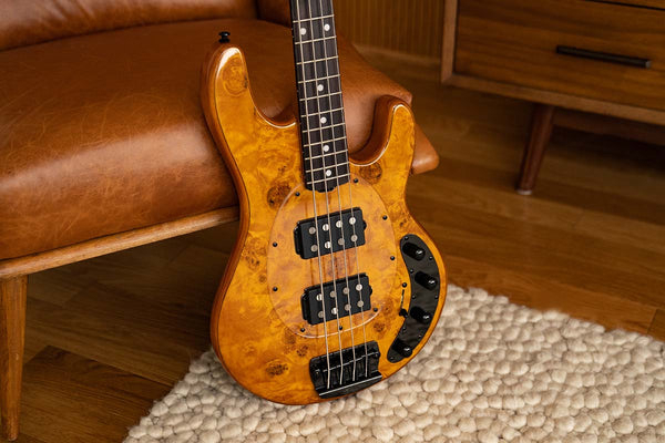 Sterling by MUSIC MAN RAY34HH AMBER （新品/送料無料）【楽器検索