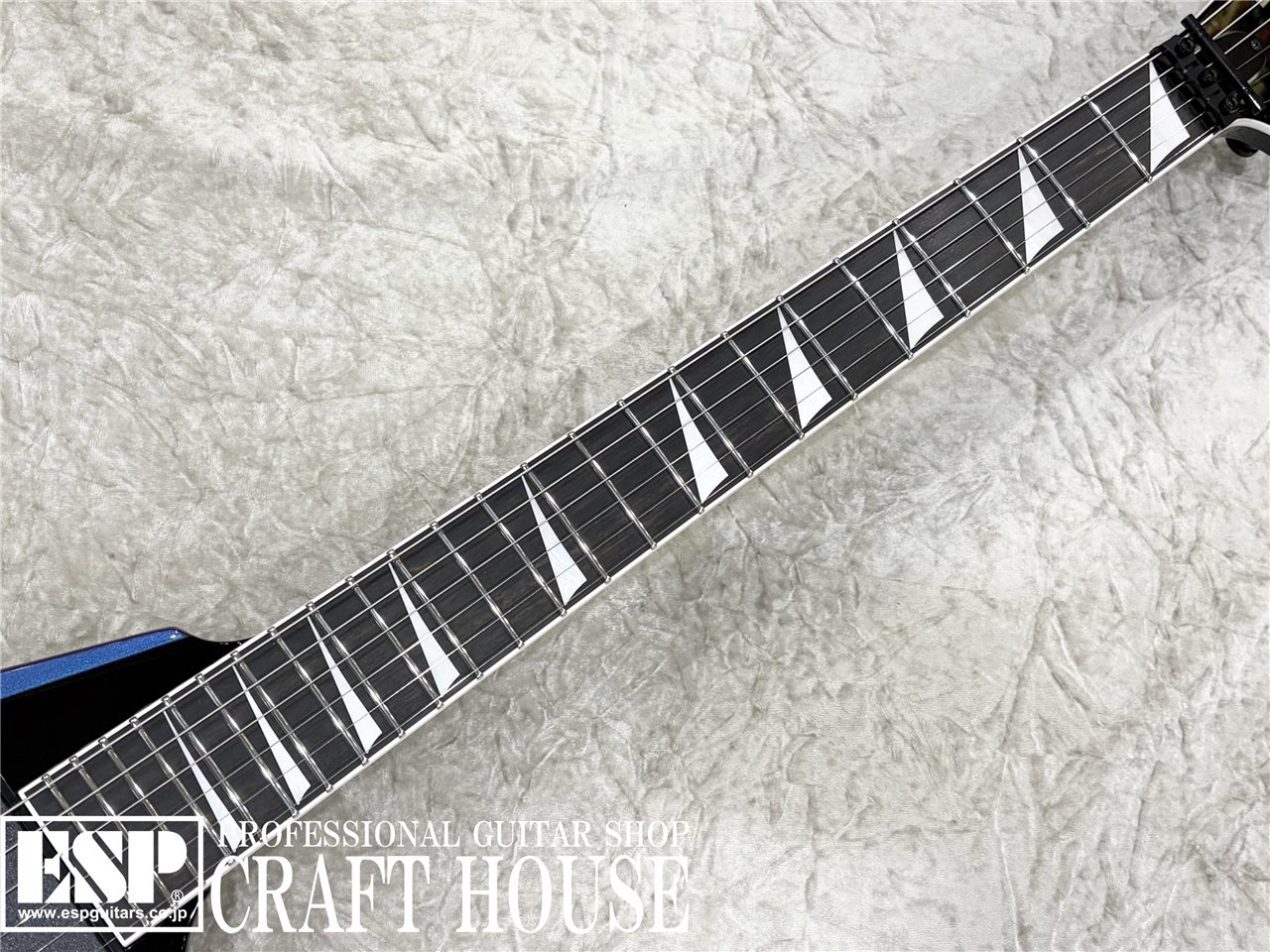 ESP ARROW FR / Black w/ANDROMEDA（新品/送料無料）【楽器検索