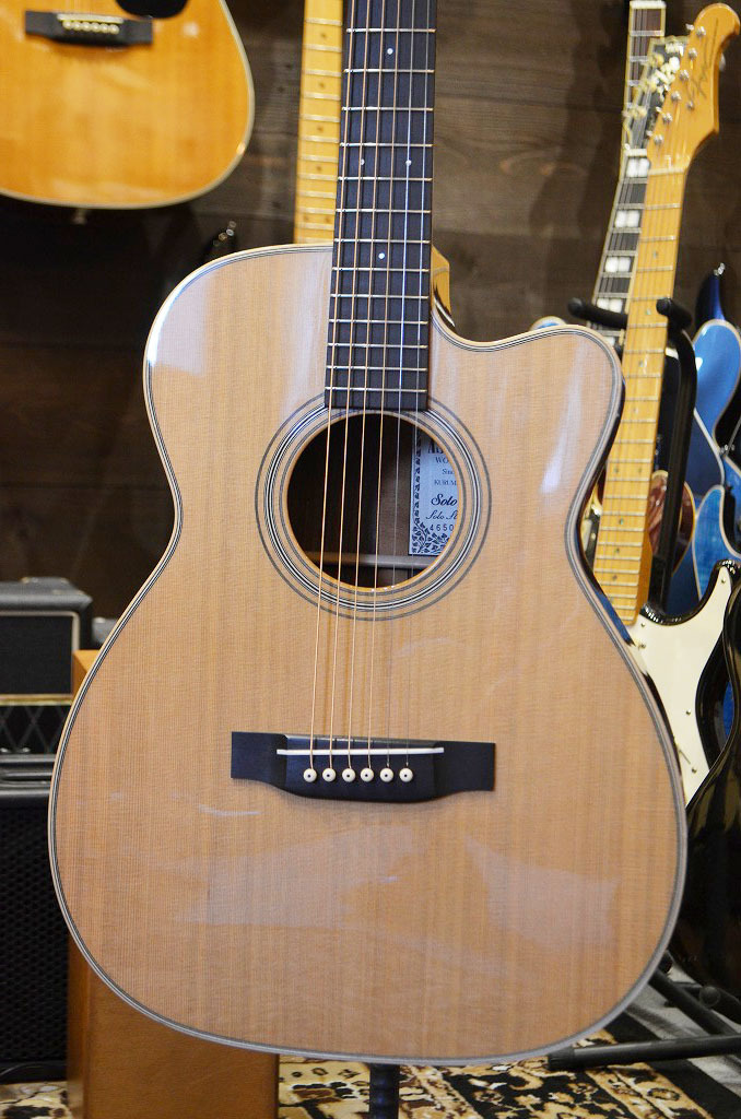 Asturias Solo Standard 国産 アコースティックギター ASTURIAS SOLO STANDARD/S 日本製 アコースティックギター 送料無料