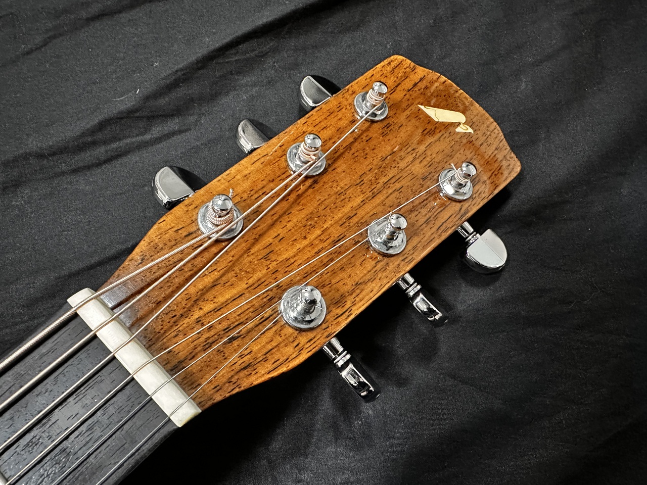 Morris M-80LTD(モーリス アコースティックギター オール単板)（中古