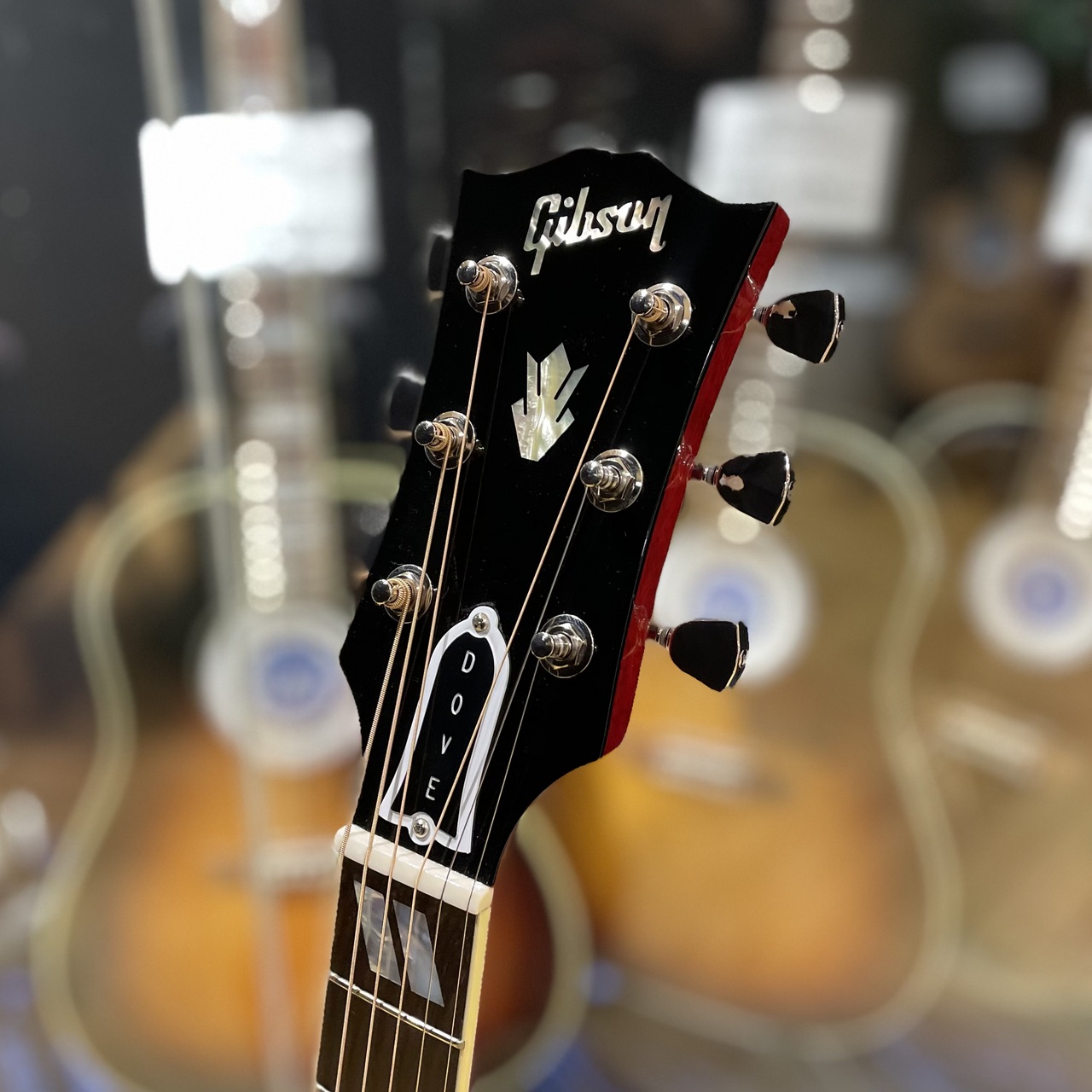 Gibson Dove Original / Antique Natural（新品/送料無料