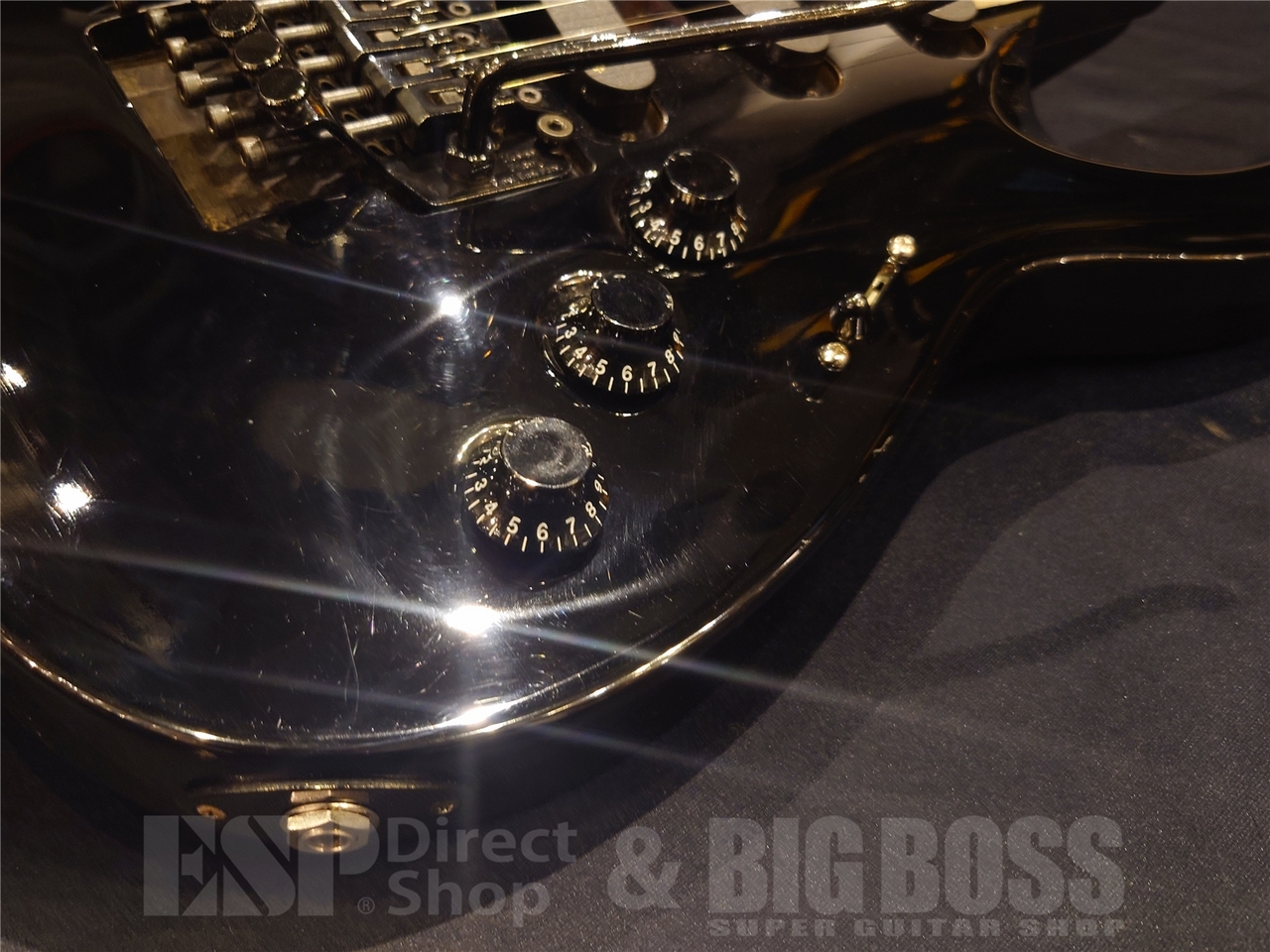 EDWARDS E-S-85HR SUGIZO ホライズン カスタム(改造多数)