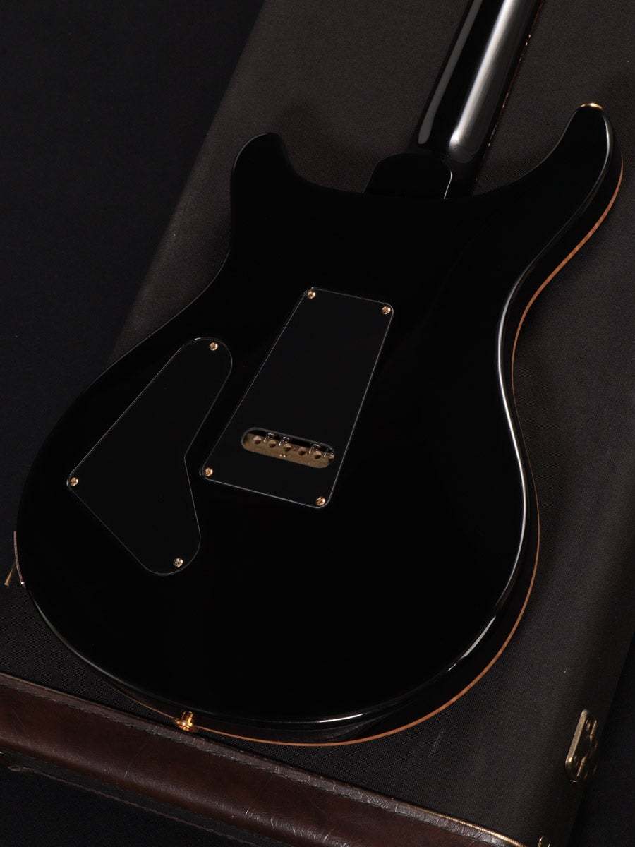 Paul Reed Smith(PRS) 2013 Custom 24 Artist Package Purple Hazel