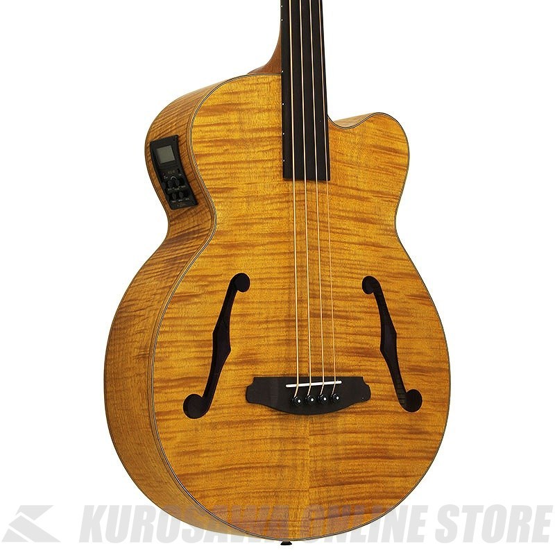 Aria Pro II FEB-F2/FL STBR FEB -Acoustic- アコースティック