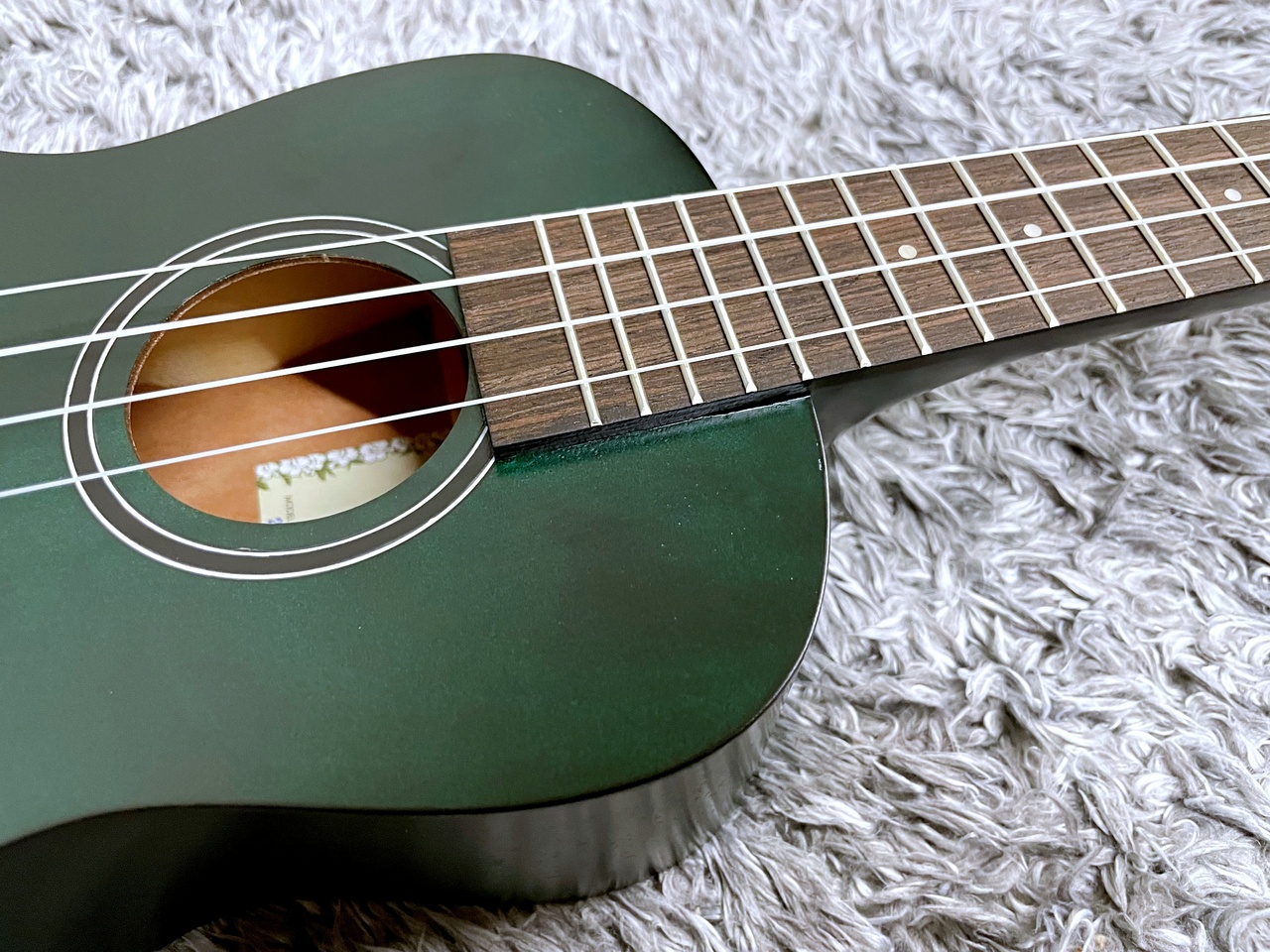 KALA KA-CEMG -GREEN EXOTIC MAHOGANY CONCERT- 【生産完了モデル