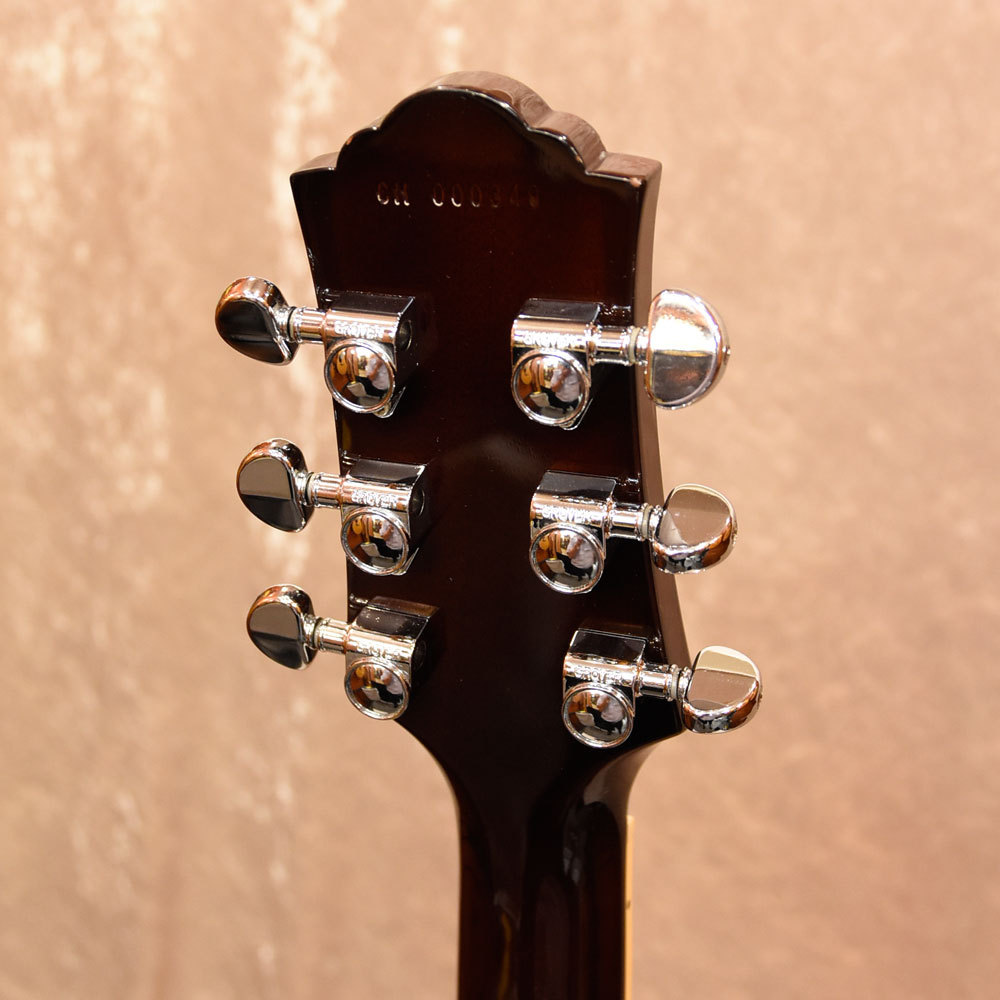 GUILD Bluesbird（中古）【楽器検索デジマート】