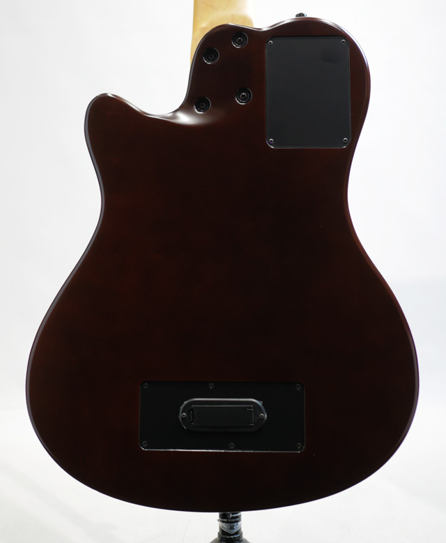 Godin A5 SA フレットレス A5 Ultra Natural Fretless A/E | Godin Guitars