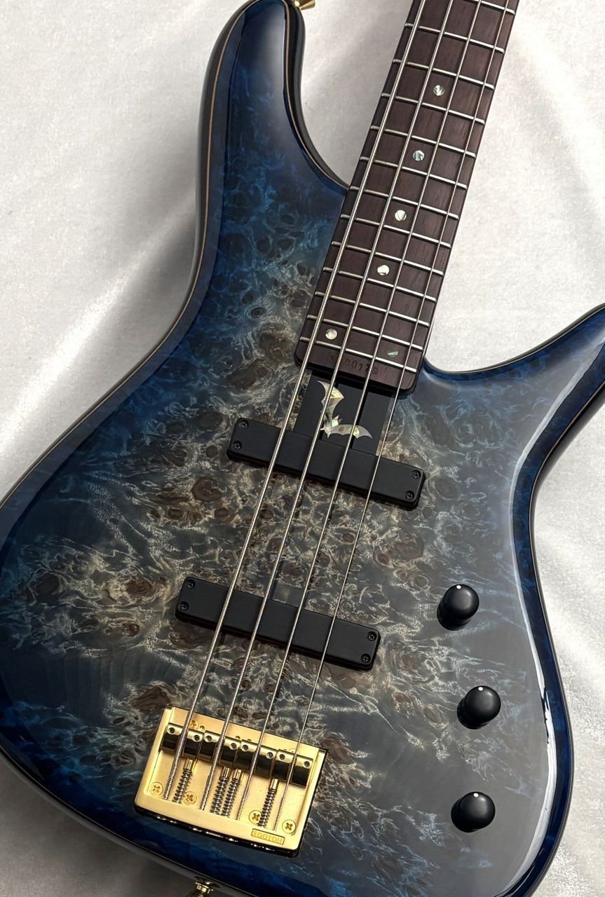 Sugi NB4HR POP/A-MAHO -SBL-【USED】（中古）【楽器検索デジマート】