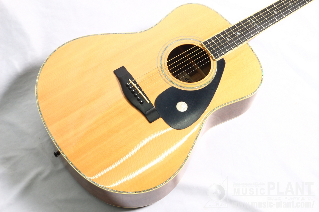 生産終了 YAMAHA LL-10J - アコースティックギター