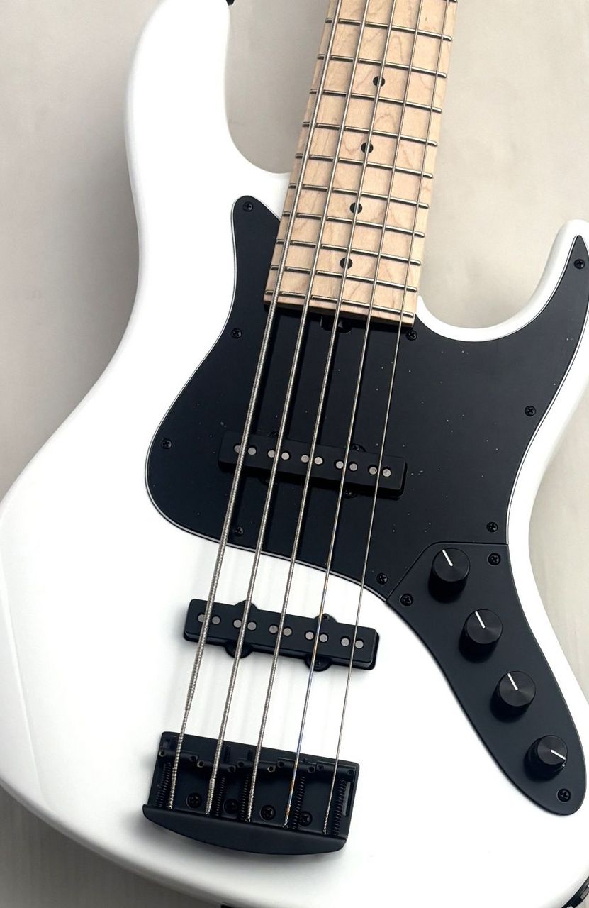 Kikuchi Guitars Hermes Series MV5 LE -SWP-【NEW】（新品/送料無料