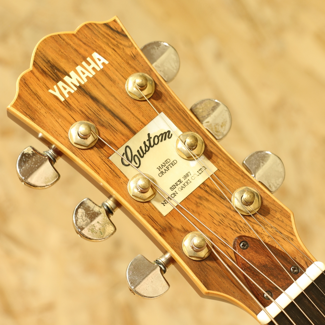 L-53 Custom Jacaranda / 1978: アコースティックギター｜三木