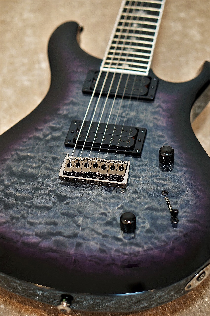 Paul Reed Smith(PRS) SE Mark Holcomb SVN ～Holcomb Burst～ 【送料